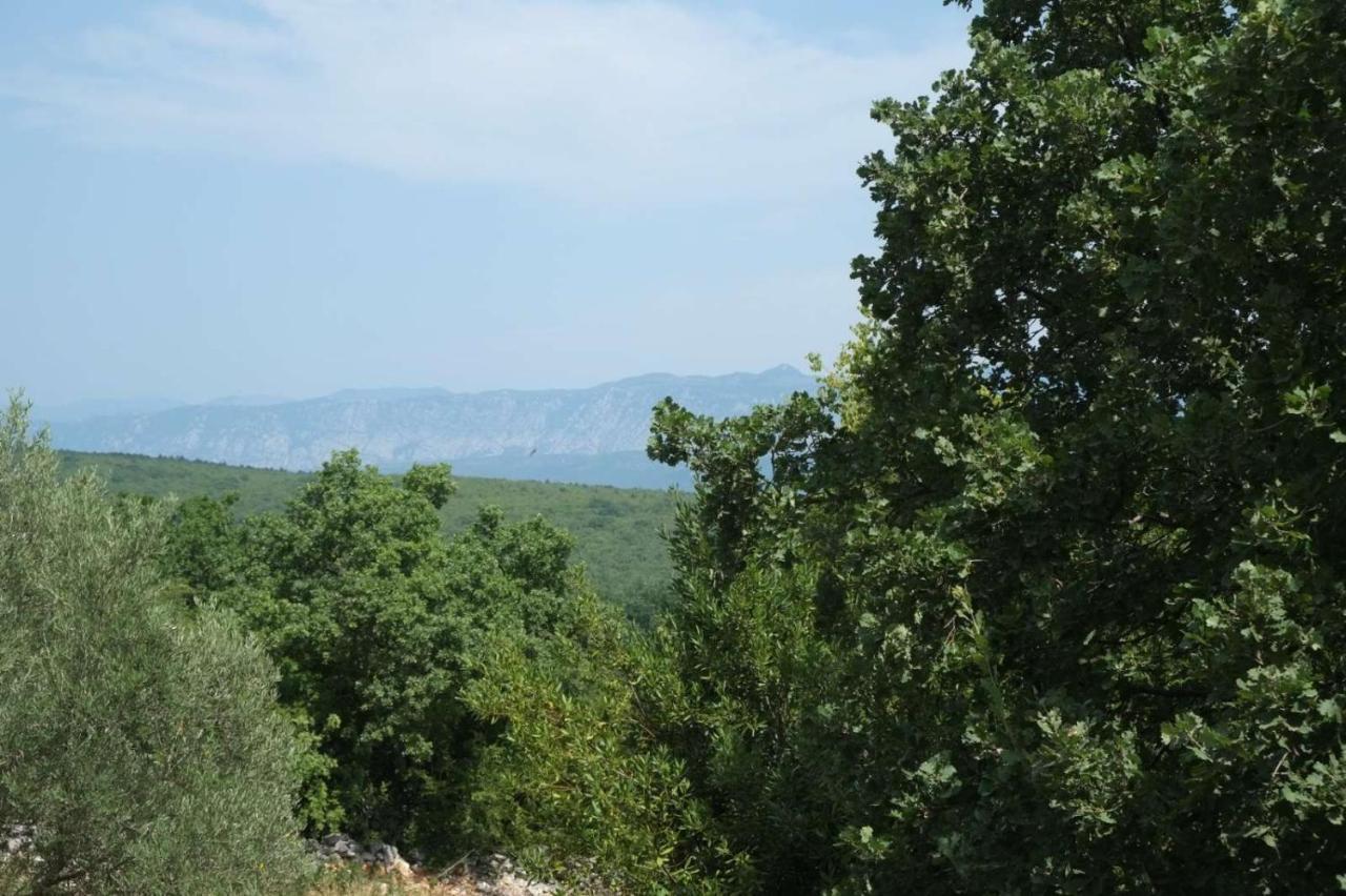 Hilltop
